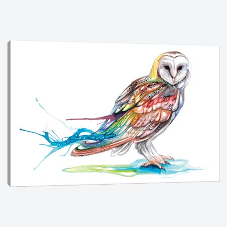 Barn Owl Canvas Print #KLI4} by Katy Lipscomb Canvas Wall Art