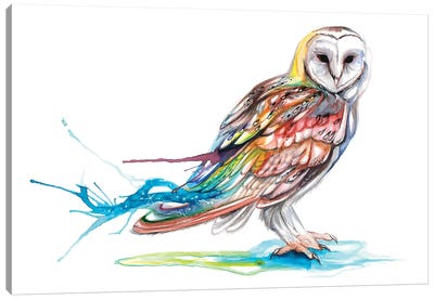 Barn Owl Canvas Art Print - Katy Lipscomb