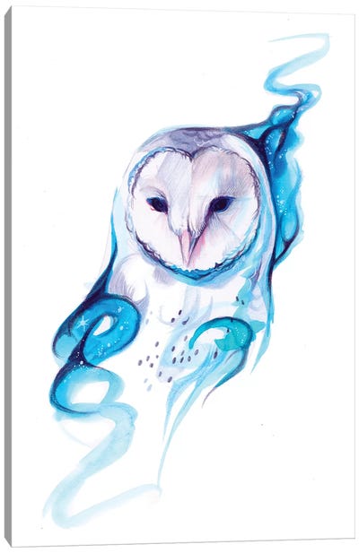 Galaxy Owl Canvas Art Print - Katy Lipscomb