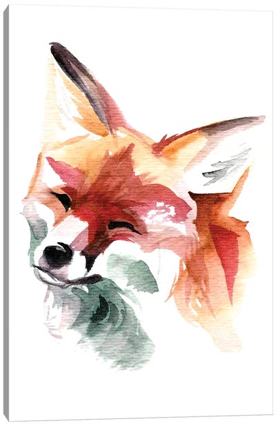 Happy Fox Canvas Art Print - Fox Art