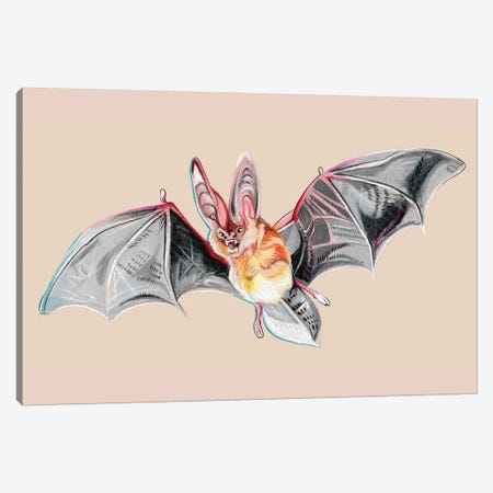 Bat Canvas Print #KLI5} by Katy Lipscomb Canvas Artwork