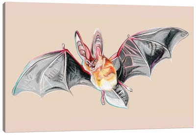 Bat Canvas Art Print - Bat Art