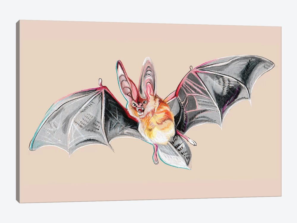 Bat by Katy Lipscomb 1-piece Canvas Art
