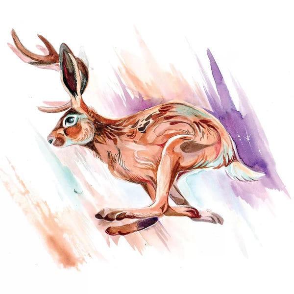Rabbits: Jackalope by Katy Lipscomb