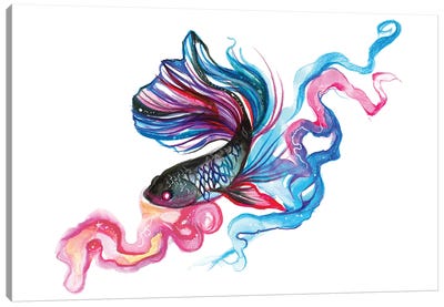 Betta Fish Canvas Art Print - Katy Lipscomb