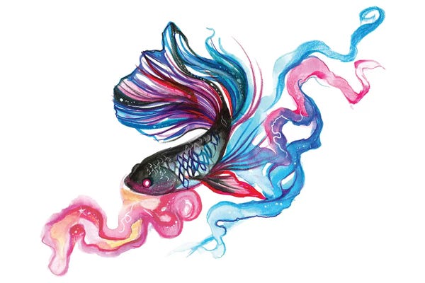Kids Ocean Life Art: Betta Fish by Katy Lipscomb