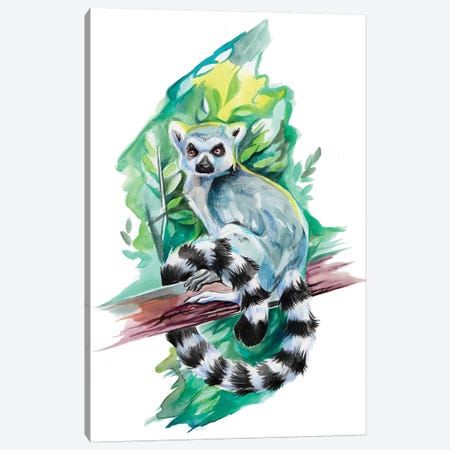 Lemur Canvas Print #KLI74} by Katy Lipscomb Canvas Print