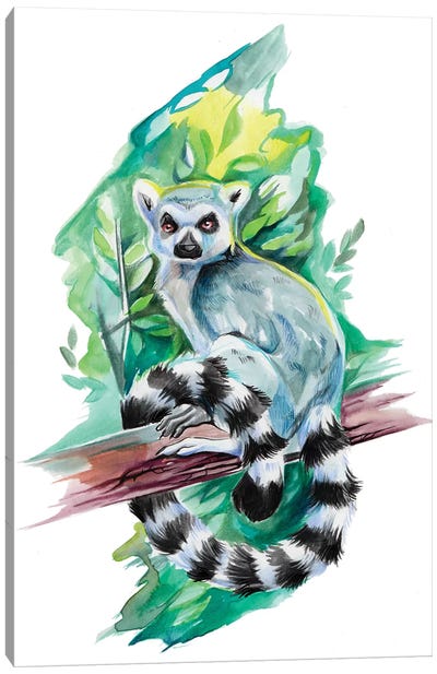 Lemur Canvas Art Print - Katy Lipscomb
