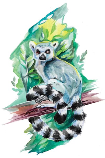 Lemurs: Lemur by Katy Lipscomb