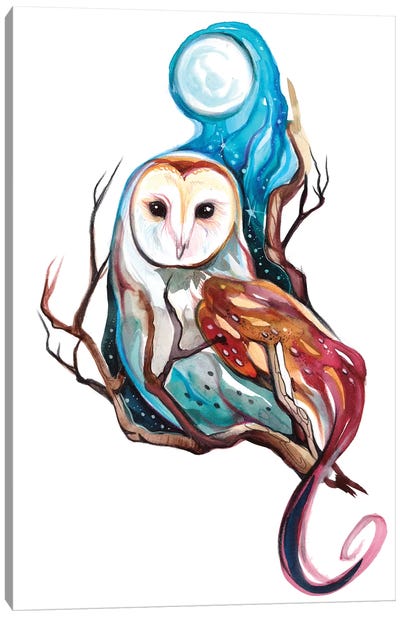 Night Owl Canvas Art Print - Katy Lipscomb