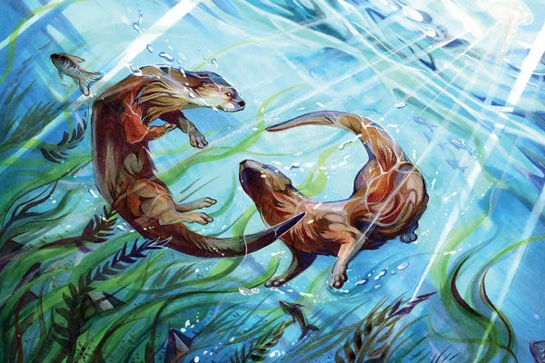 Otters: Otters by Katy Lipscomb