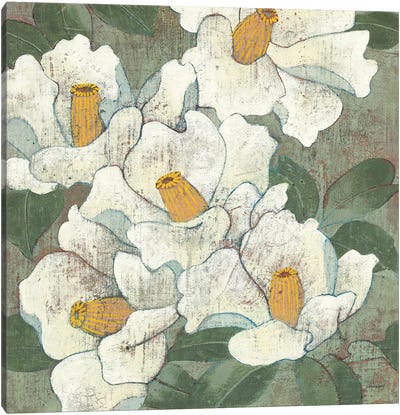 White Flowers I Dark Canvas Art Print - Kathrine Lovell