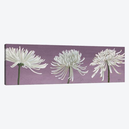 Morning Chrysanthemums V Lavender Canvas Print #KLV18} by Kathrine Lovell Canvas Art Print