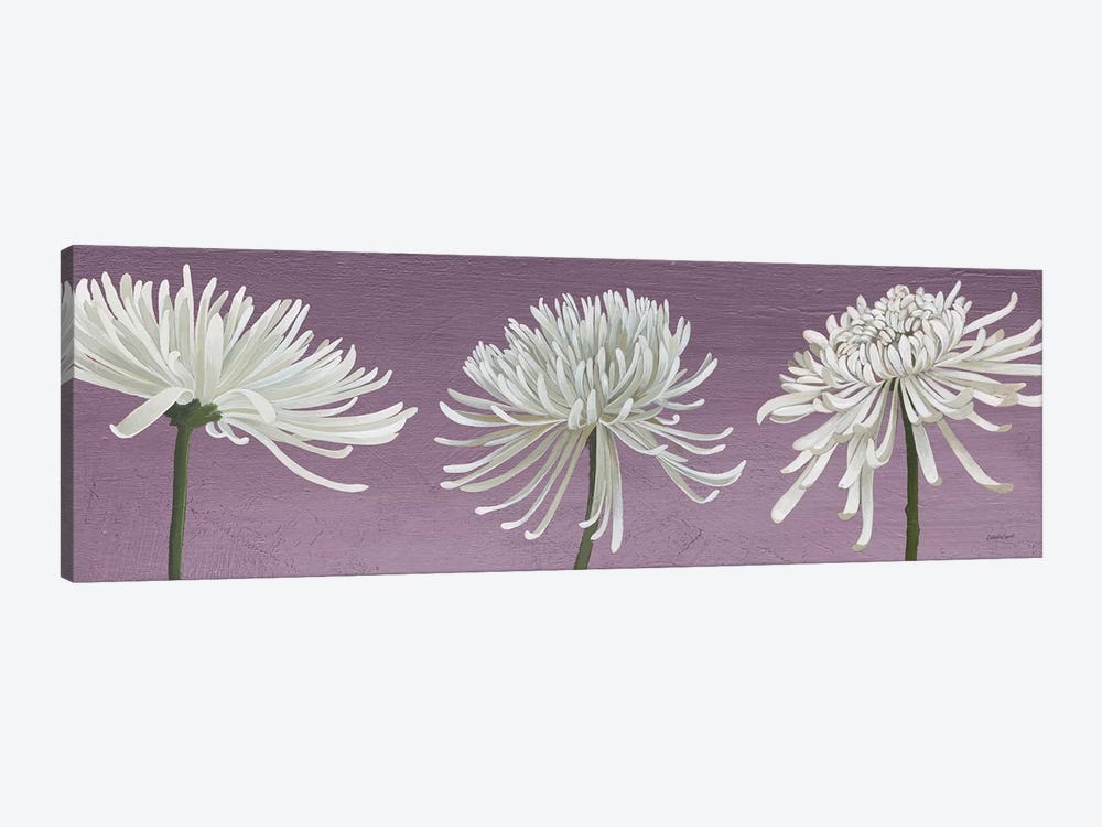 Morning Chrysanthemums V Lavender by Kathrine Lovell 1-piece Art Print