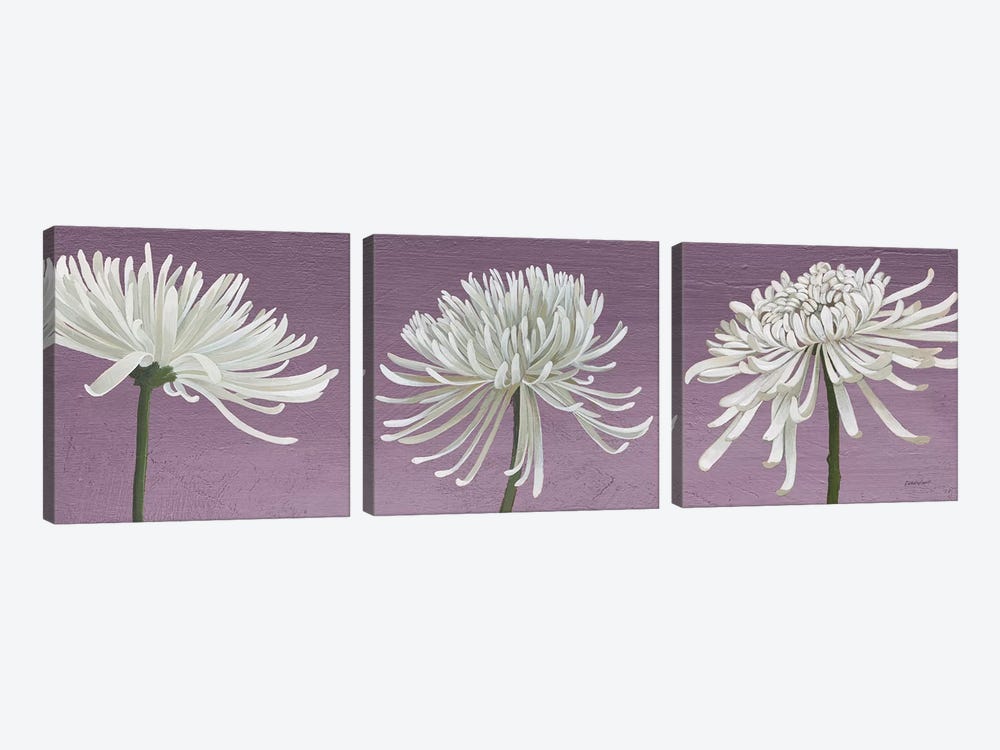 Morning Chrysanthemums V Lavender by Kathrine Lovell 3-piece Canvas Print