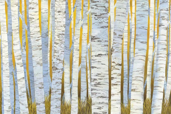 Aspen Trees: Aspen Grove by Kathrine Lovell