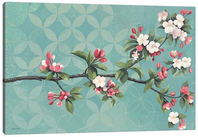 Cherry Blossoms Canvas Art Print - Kathrine Lovell