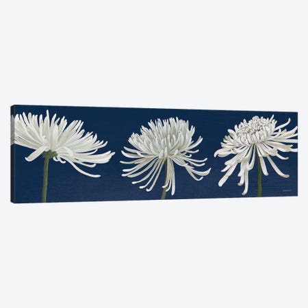 Morning Chrysanthemums V Dark Blue Canvas Print #KLV2} by Kathrine Lovell Canvas Art Print