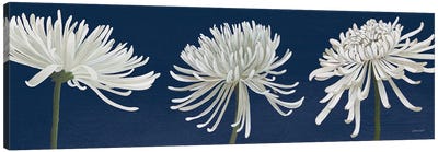 Morning Chrysanthemums V Dark Blue Canvas Art Print - Traditional Living Room Art