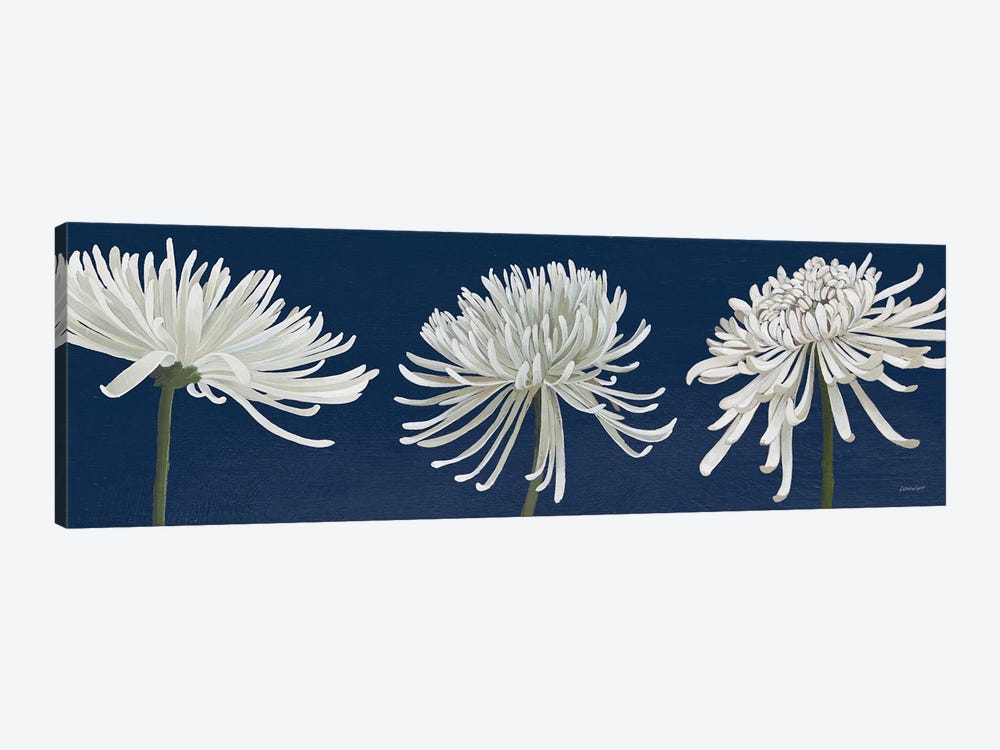Morning Chrysanthemums V Dark Blue by Kathrine Lovell 1-piece Canvas Artwork
