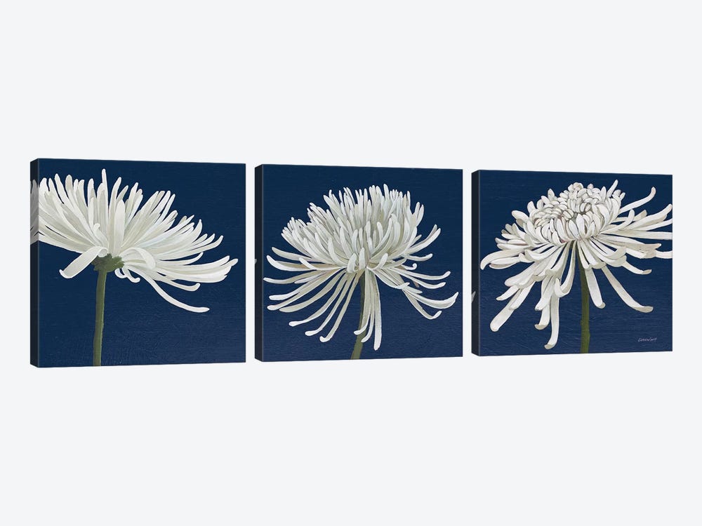 Morning Chrysanthemums V Dark Blue by Kathrine Lovell 3-piece Canvas Wall Art