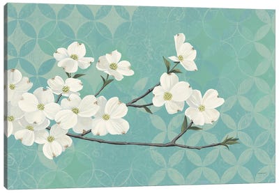 Dogwood Blossoms Canvas Art Print - Kathrine Lovell