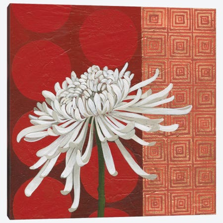 Morning Chrysanthemum II Canvas Print #KLV8} by Kathrine Lovell Canvas Art Print