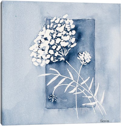 Blue And White Floral Canvas Art Print - Minimalist Flowers
