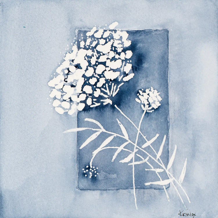 Blue And White Floral