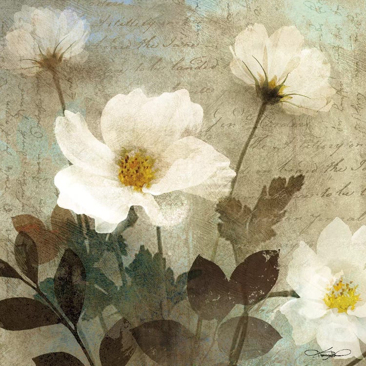 Anemone I by Keith Mallett wall art