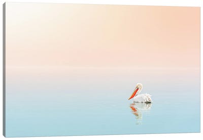 Pelican In The Ocean Canvas Art Print - Karen Mandau