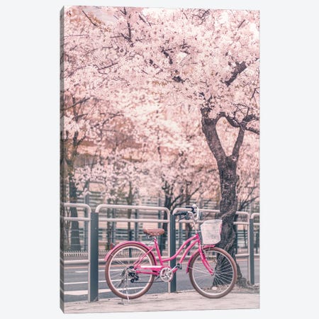 Pink Bike Under Cherry Trees Canvas Print #KMD105} by Karen Mandau Canvas Artwork