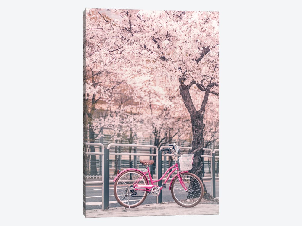 Pink Bike Under Cherry Trees by Karen Mandau 1-piece Canvas Art Print
