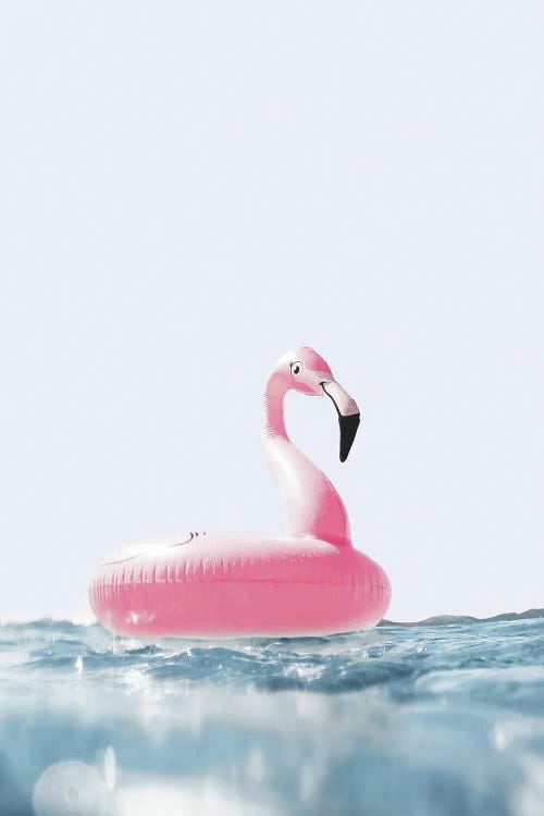 Pink Flamingo Swimring