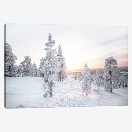 Pink Pine Tree Winter Landscape Canvas Print #KMD115} by Karen Mandau Canvas Art Print