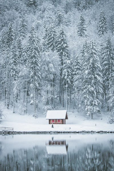 Red Lake Cabin by Karen Mandau art print
