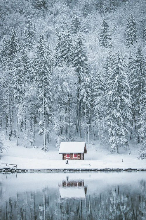 Red Lake Cabin