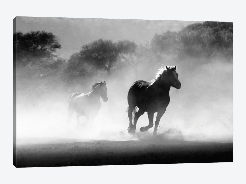 Running Horses Black And White by Karen Mandau 1-piece Canvas Art