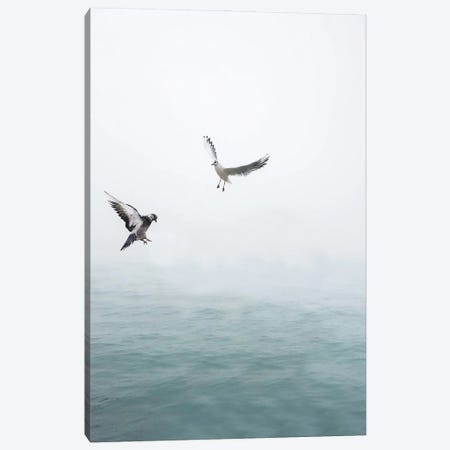 Seagulls Flying Over The Ocean Canvas Print #KMD136} by Karen Mandau Canvas Art Print