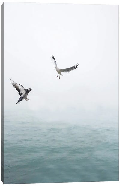 Seagulls Flying Over The Ocean Canvas Art Print - Karen Mandau