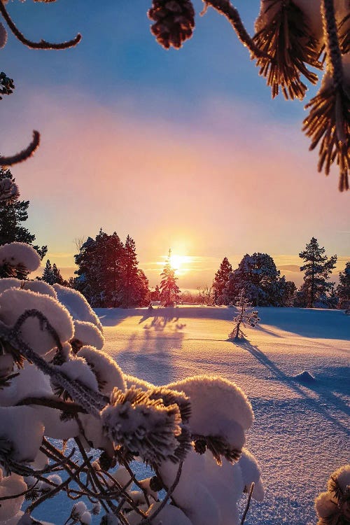 Snow Landscape At Sunset by Karen Mandau wall art