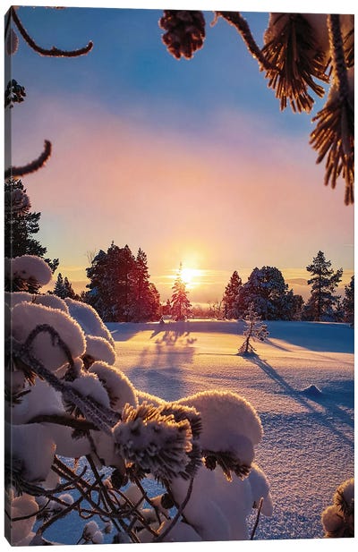 Snow Landscape At Sunset Canvas Art Print - Karen Mandau