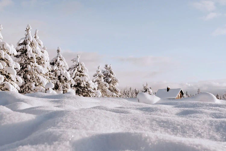 Snow Landscape by Karen Mandau wall art