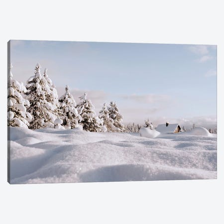 Snow Landscape Canvas Print #KMD140} by Karen Mandau Art Print