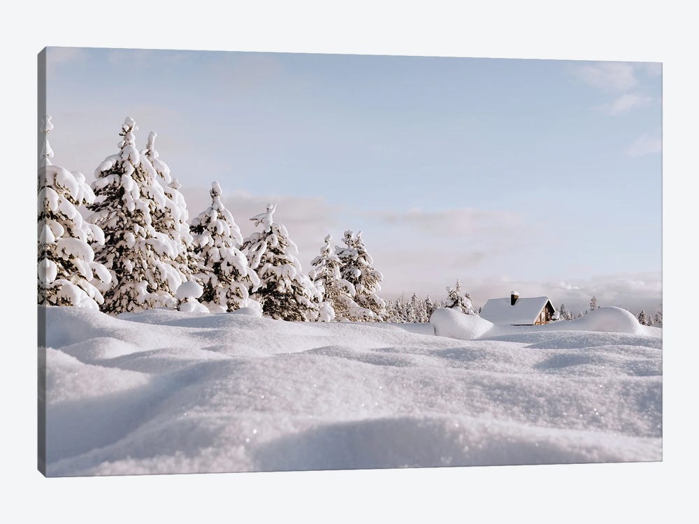 Snow Landscape by Karen Mandau 1-piece Canvas Artwork