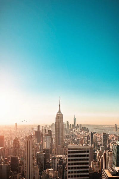 Sunny New York City Skyline by Karen Mandau art print