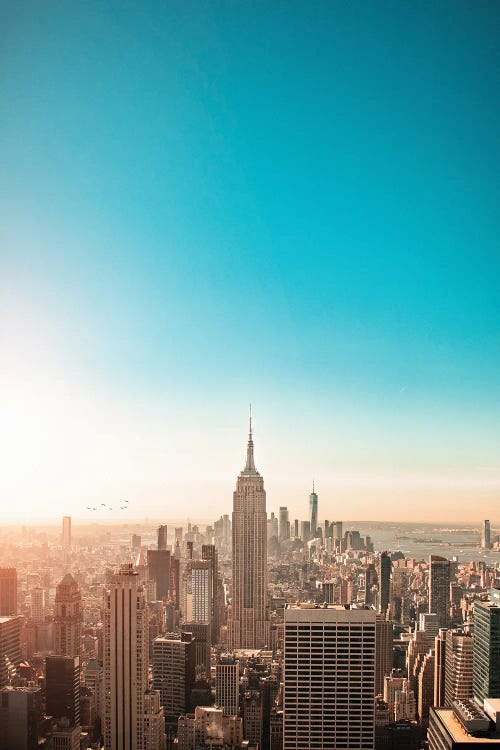 Sunny New York City Skyline by Karen Mandau wall art