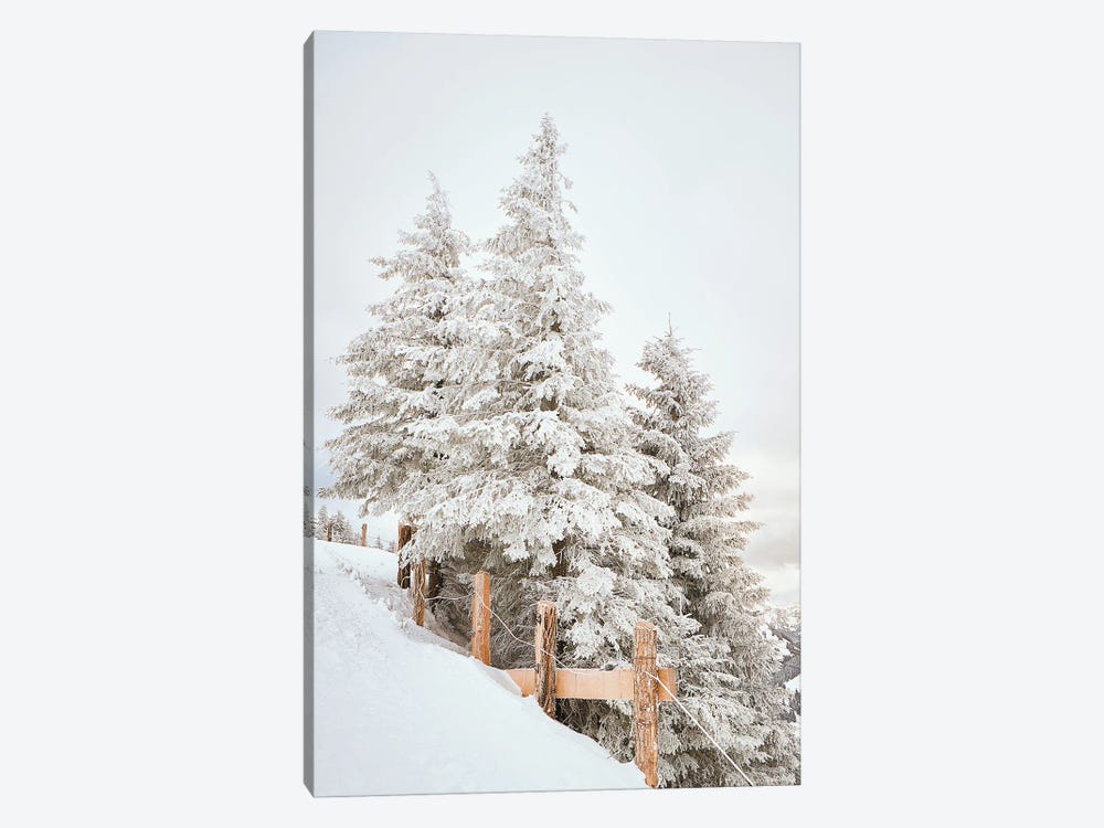 White Pine Trees With A Fence by Karen Mandau 1-piece Canvas Artwork