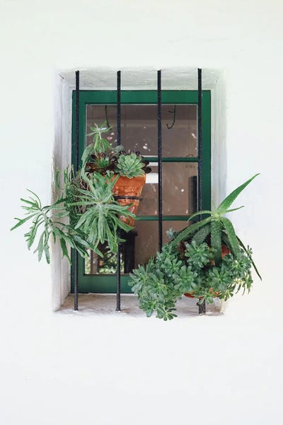 Window With Plants by Karen Mandau art print