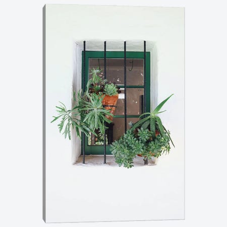 Window With Plants Canvas Print #KMD161} by Karen Mandau Canvas Art Print